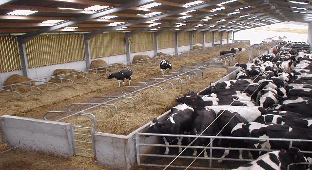 Solutions de vidéosurveillance agricole - vue d'ensemble exploitation